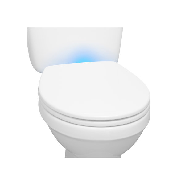 Belfry Bathroom Taglieri Soft Close Round Standard Toilet Seat